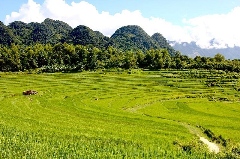 Pu Luong- ideal place to go outside of Hanoi - Happy Zip Motorbikes